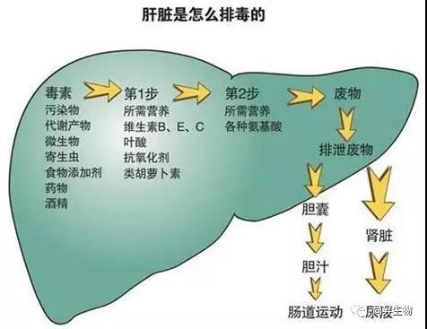 1569834113899567.jpg 2.jpg