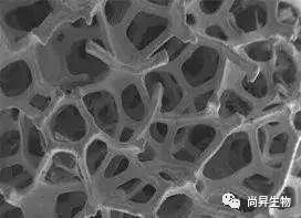 1570525859619526.jpg 12.jpg