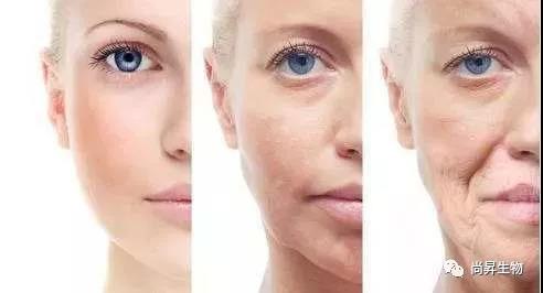 1571043234575490.jpg 5.jpg