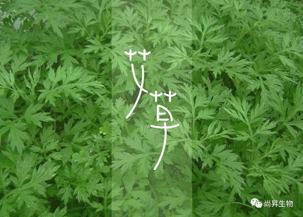 1571194653944866.jpg 1_副本.jpg