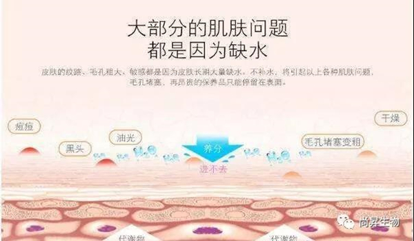 1571902543428833.jpg 2_副本.jpg