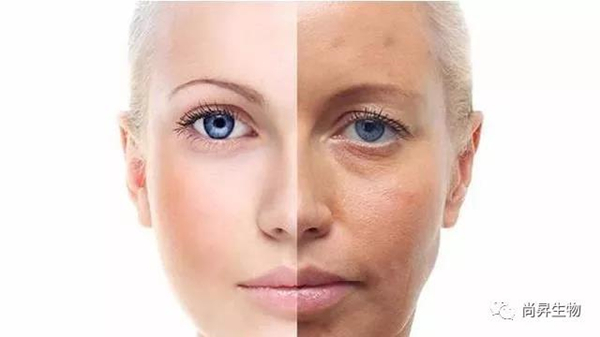 1571902684867942.jpg 5_副本.jpg