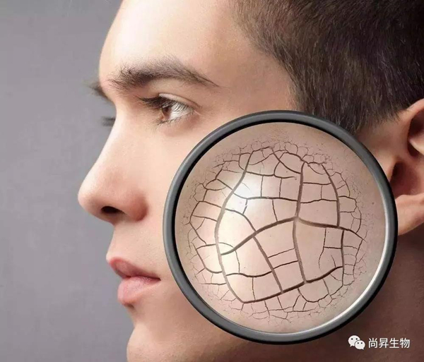 1571902704598137.jpg 6_副本.jpg