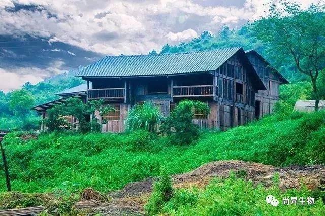 1572341974663541.jpg 1.jpg