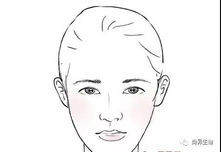 1572341987733451.jpg 2.jpg