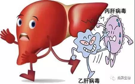 1572342009574977.jpg 3.jpg