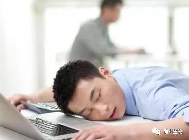 1572342040314520.jpg 5.jpg