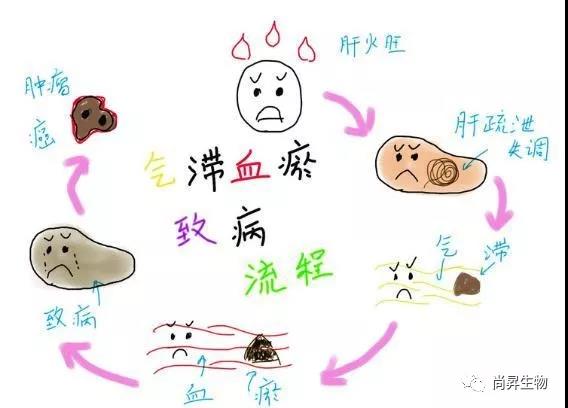 1572342176324895.jpg 9.jpg