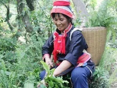 1572342190953190.jpg 10.jpg