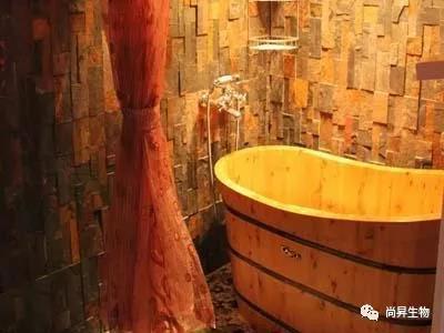 1572342202174421.jpg 11.jpg