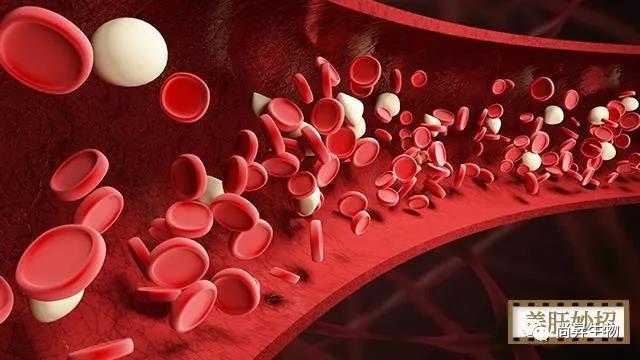 1572342227536660.jpg 13.jpg