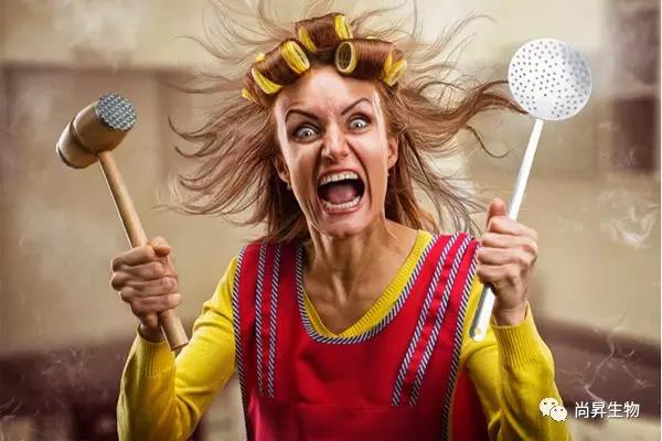 1572680368467108.jpg 6.jpg