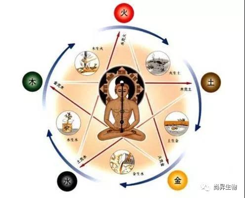 1573034090685144.jpg 1.jpg