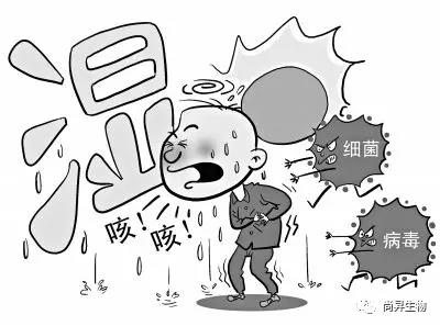 1573034263519807.jpg 9.jpg