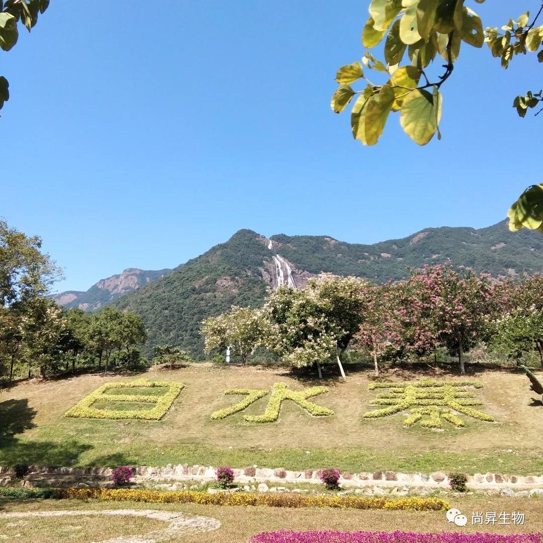 1573538194942767.jpg 1573538194942767.jpg