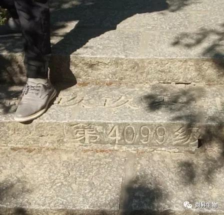 1573539212164268.jpg 1573539212164268.jpg