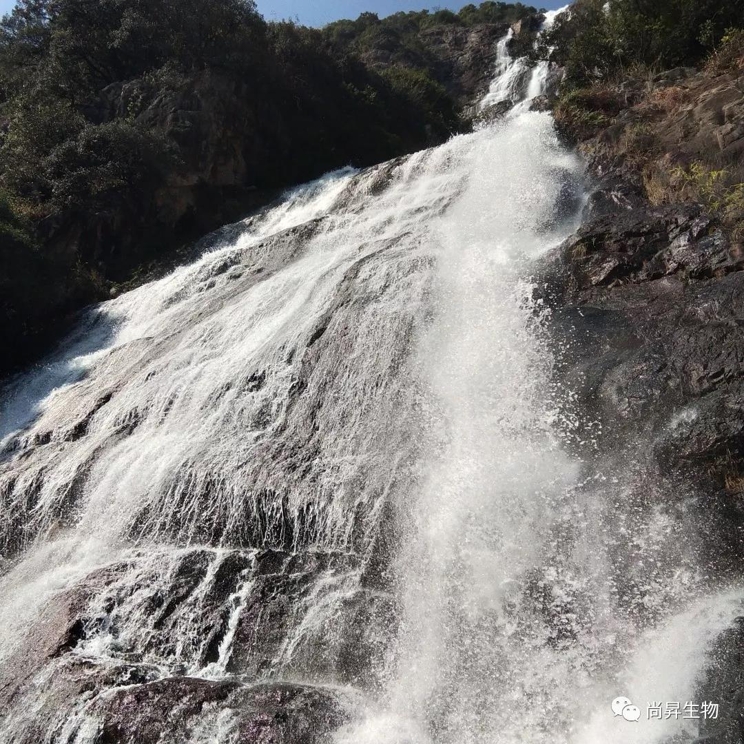 1573539288802459.jpg 1573539288802459.jpg