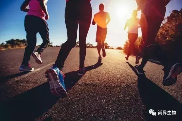 1574478198737475.jpg 1574478198737475.jpg