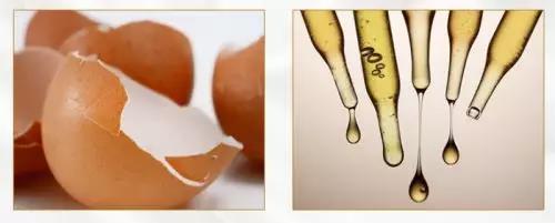 1575447703443596.jpg 2.jpg