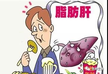 1575625534835800.jpg 1575625534835800.jpg