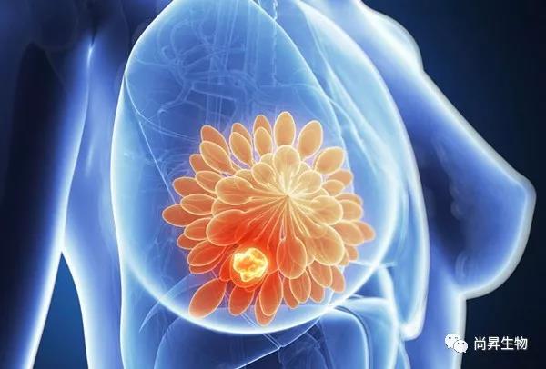 1575625571225445.jpg 6.jpg