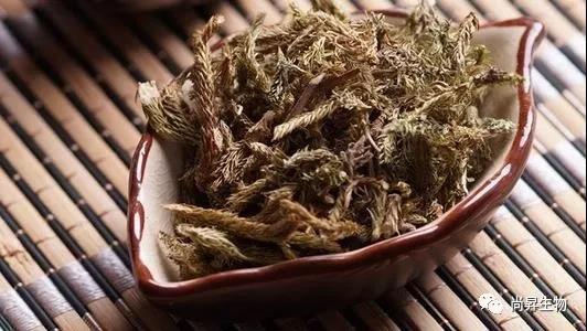 1575625606202336.jpg 1575625606202336.jpg