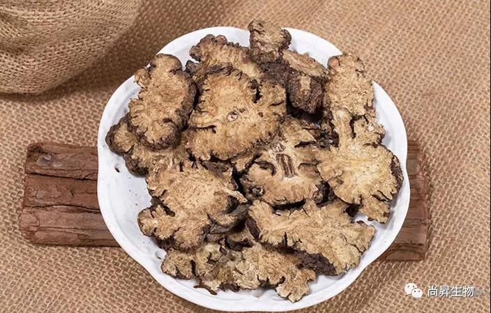 1575625617889466.jpg 1575625617889466.jpg