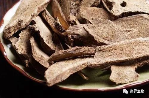 1575625624558478.jpg 1575625624558478.jpg