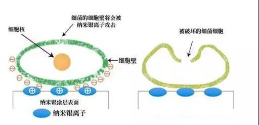 1584435142419411.jpg 1584435142419411.jpg