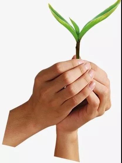 1584438915153952.jpg 1584438915153952.jpg