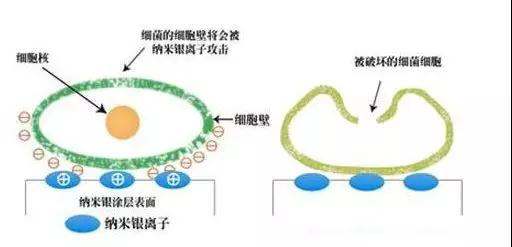 1585906272240202.jpg 1585906272240202.jpg