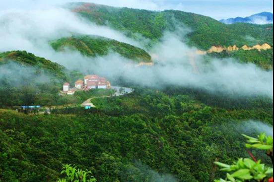 1586152084152642.jpg 7.jpg