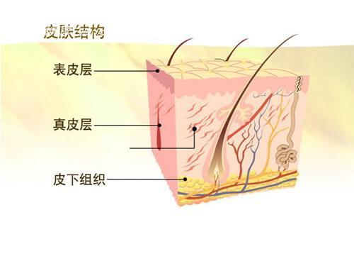 1589441399821498.jpg 圖2.jpg